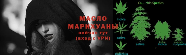 ПСИЛОЦИБИНОВЫЕ ГРИБЫ Новозыбков