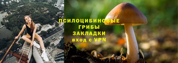 мяу мяу кристалл Ельня