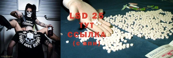 стаф Елабуга