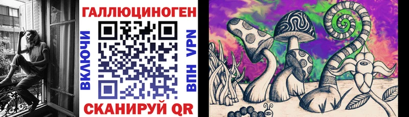 Псилоцибиновые грибы Cubensis цена наркотик Исилькуль